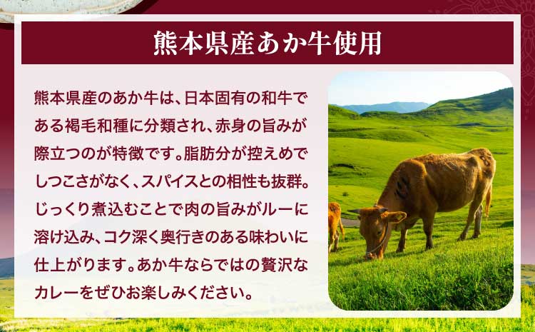 熊本県産あか牛使用 くまもとあか牛 ビーフカレー 4人前 1袋 160g カレー レトルトカレー ビーフカレー あか牛カレー あか牛 あかうし 赤牛 惣菜 レトルト 簡単調理 時短 備蓄 常備 長期保存 送料無料 亀井通産株式会社