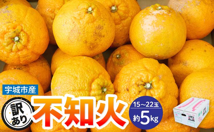 先行予約 訳あり 不知火 約5kg（15～22玉） 【2026年3月上旬~2026年4月上旬頃発送予定】 しらぬい みかん 蜜柑 柑橘  お取り寄せ 国産 九州 宇城市産 【株式会社la Nui.】