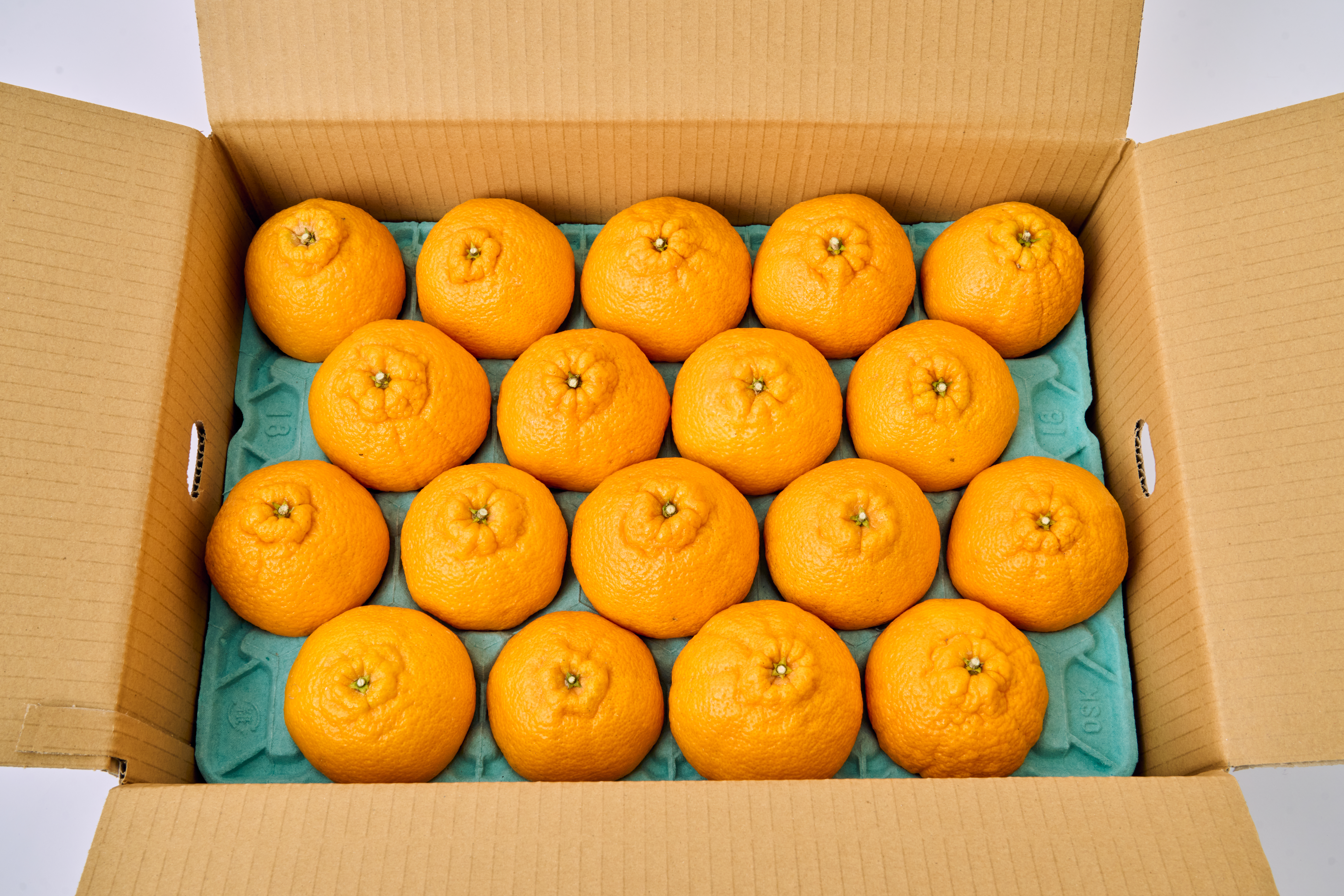 先行予約 不知火 恋する不知火 約5kg 御舩果樹園 しらぬい みかん ミカン 【2026年4月上旬から2026年6月下旬発送予定】 フルーツ 果物 くだもの 柑橘 宇城市 熊本県産 九州産