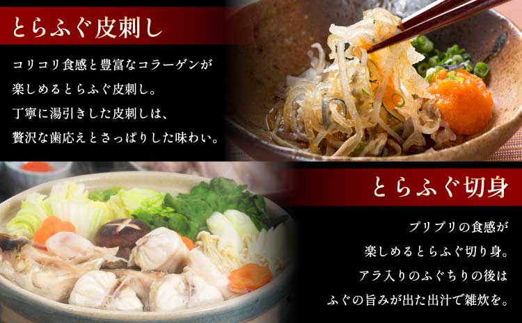 【ミシュラン2つ星店 採用】 とらふぐ ふぐ てっさ てっちり 2人前 刺身 フグ ひれ酒用 焼きひれ 海鮮 魚介類 冷凍 国産 熊本県産 【数量限定】1日25セット限定！ふぐの王様！とらふぐ国産最高級！天草 とらふぐ てっさ・ちり 満腹セット（2人前）