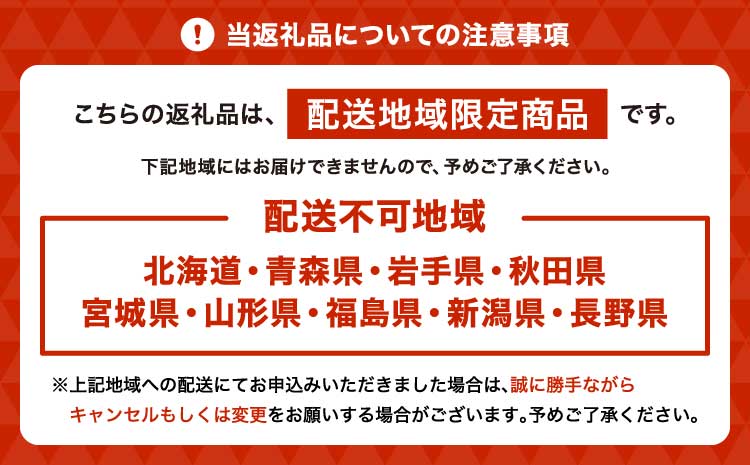 【定期便4回】ミディ胡蝶蘭 3本立ち 洋蘭 観賞用 植物