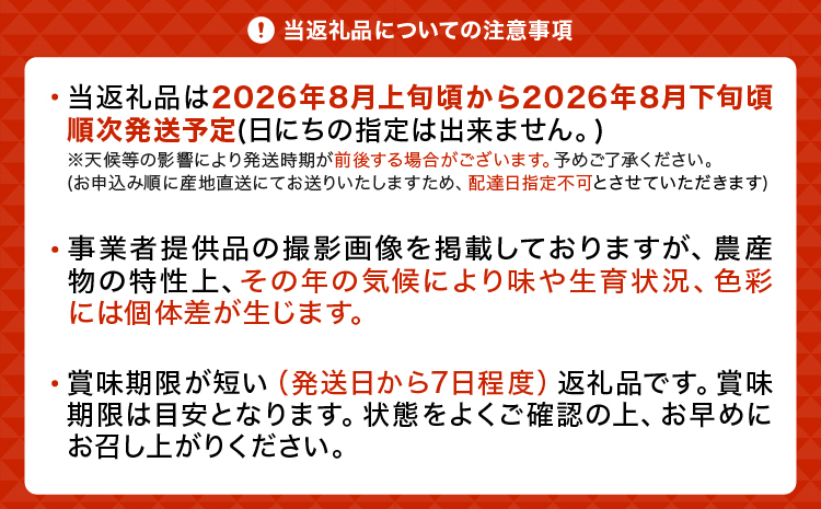 先行予約 黒いシャインマスカット 富士の輝 2房（約500g×2）計約1kg【2026年8月上旬から8月下旬発送予定】 清水果樹園 シャインマスカット マスカット ブドウ ぶどう 熊本県 宇城市
