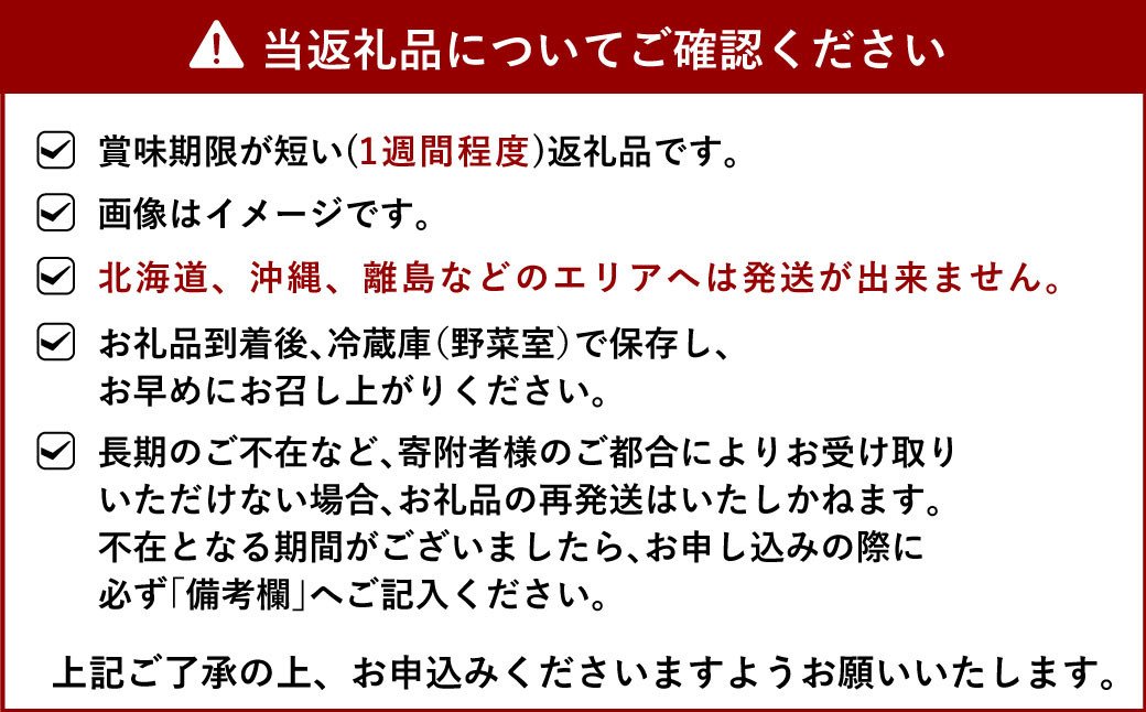 【2023年1月下旬～順次発送予定】宇城市産 さがほのか 約2kg（250g×8パック）いちご 苺