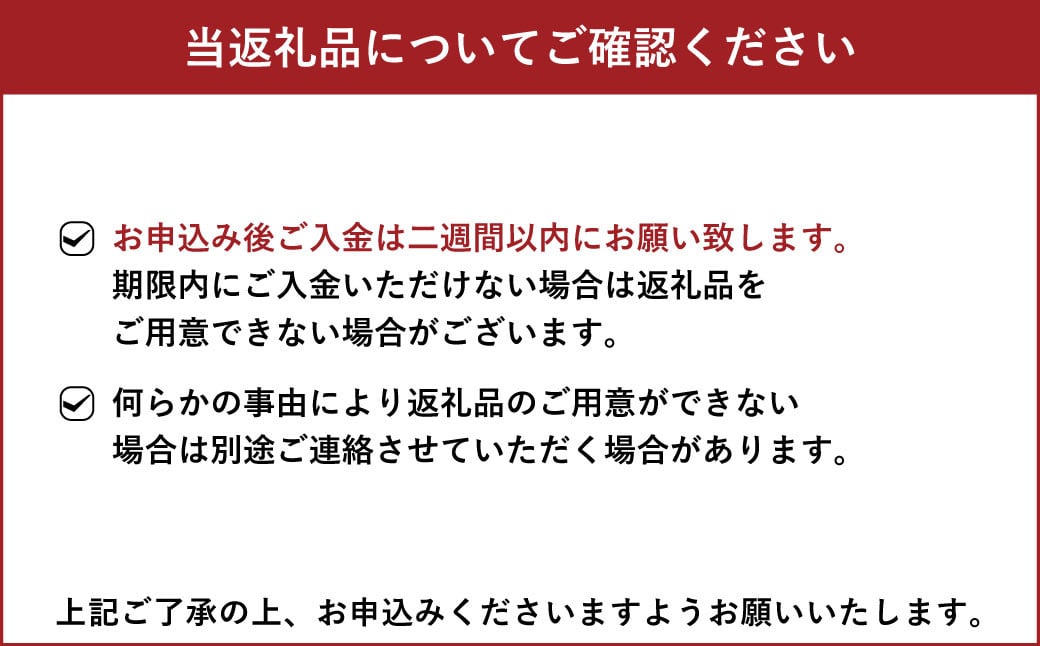 超濃厚! 宇城市産 塩トマト 約1.5kg 15個前後【6月下旬までに発送予定】【しんたのトマト農園】