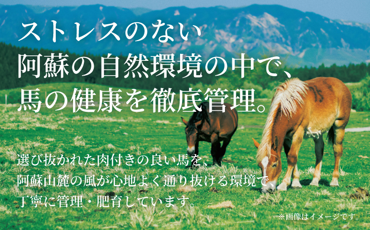 国産 馬刺し 10人前 500g 約50gx10パック 馬肉 ばさし 小分け たれ付き