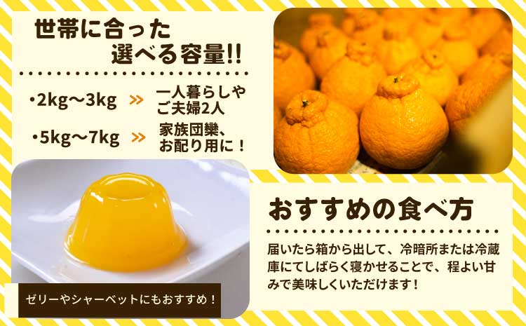 先行予約 不知火 ご家庭用 完熟不知火 約5kg 【髙橋果樹園】【2026年2月上旬から3月下旬発送予定】ご家庭用 不揃い キズあり SDGｓ B級品 しらぬい みかん ミカン 高橋果樹園 柑橘 かんきつ 宇城市産 デコポン® 不知火発祥の地