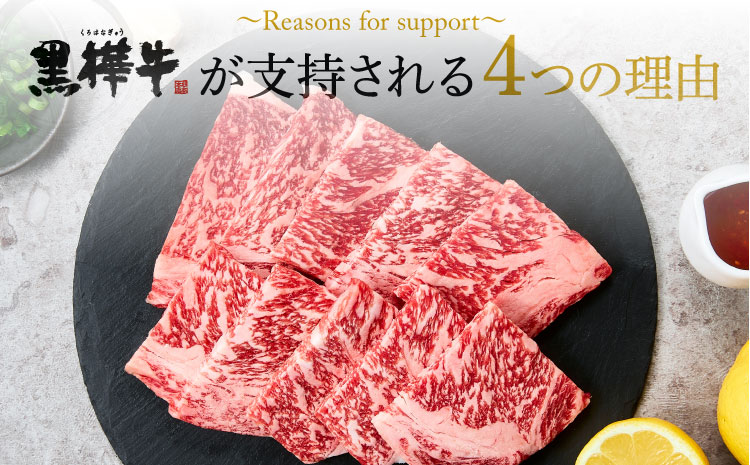 黒樺牛 ステーキ・焼き肉セット 約1.1kg 焼肉 牛肉 サーロインステーキ ロース焼き肉 白ホルモン タレ付き みそだれ 味噌 和牛 牛 ブランド牛 おかず BBQ バーベキュー 肉の日 冷凍 九州産 ギフト プレゼント 贈り物
