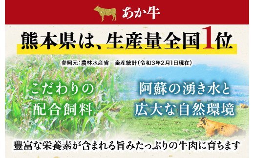【熊本県産】 あか牛 焼肉 2種 食べ比べ セット モモ カルビ 計400g
