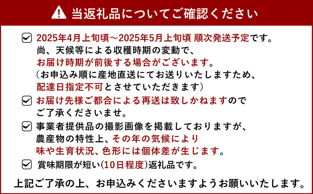 【先行予約】宇城市産 あーちゃん家の不知火 訳あり 10kg【2025年4月上旬～5月上旬発送予定】しらぬい 柑橘