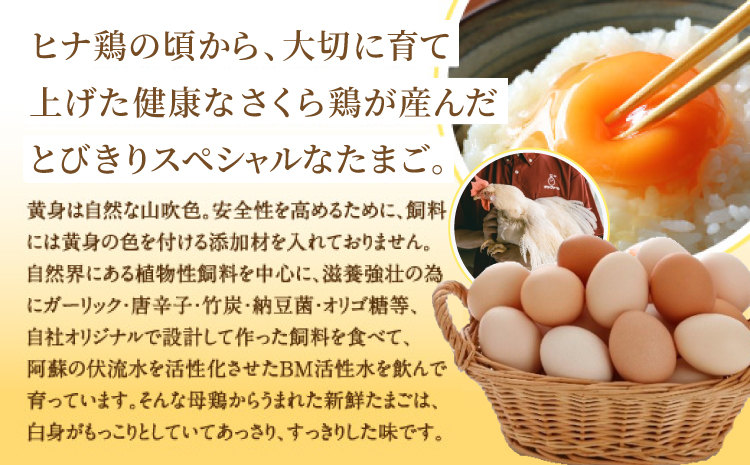 ææ¡ã ãããããŸã 90åïŒMãµã€ãºïŒåµ 10åç Žæè£åå«ã