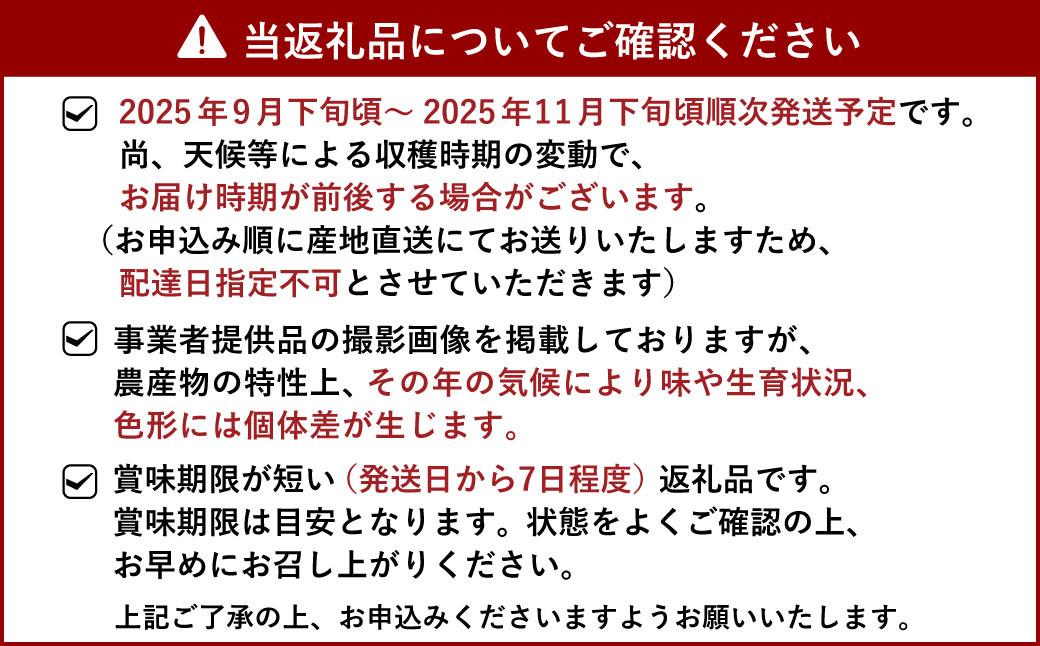 先行受付 ユーレカ レモン 約5kg（35玉前後）【清水果樹園】【2025年9月下旬から11月下旬発送予定】