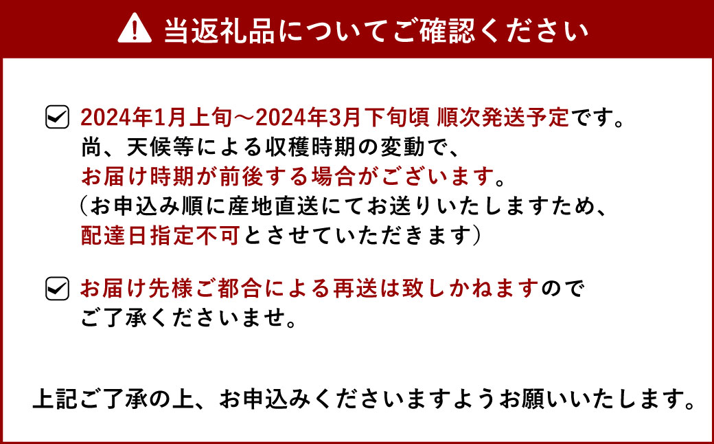 【2024年1月上旬〜順次発送予定】宇城市産 完熟不知火(化粧箱入り) 約3kg 高橋果樹園