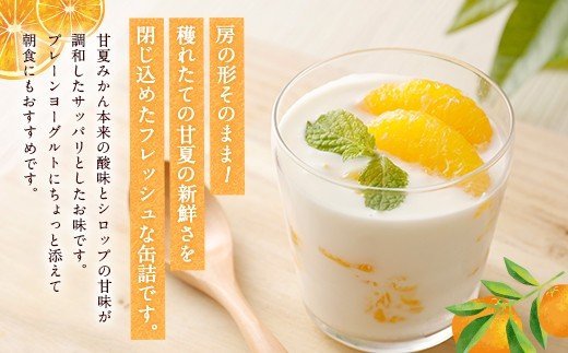 甘夏みかん 甘夏缶詰 12缶 固形量160g みかん缶 