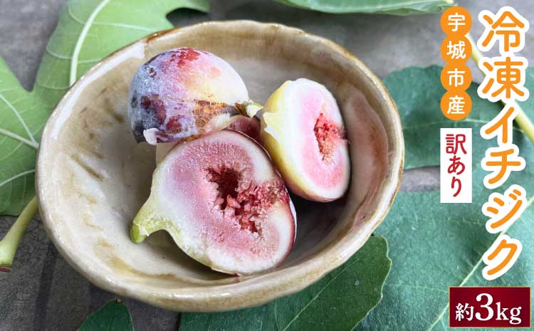 【6月中旬頃より順次発送予定】訳あり 冷凍 イチジク 約3kg【合同会社宝Farm】