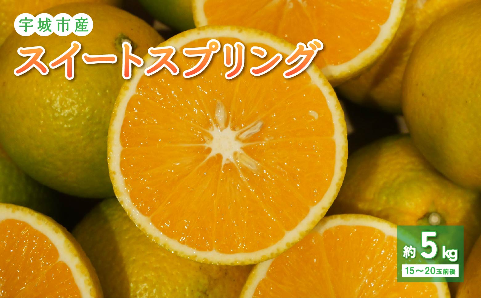 スイートスプリング 約5kg 【2025年11月下旬-2026年2月下旬発送予定】スイートスプリング みかん 柑橘 果物 フルーツ 熊本県 のむちゃん農園