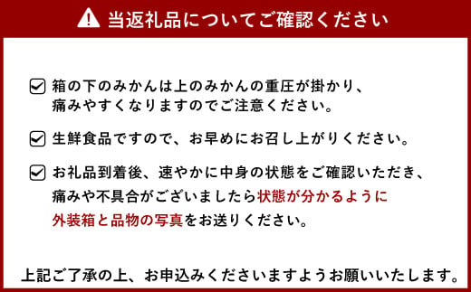 宇城市産 不知火 約8kg（25個前後） ひでみかん 【2025年2月上旬から3月下旬発送予定】 柑橘 果物 くだもの お取り寄せ 熊本県 宇城市