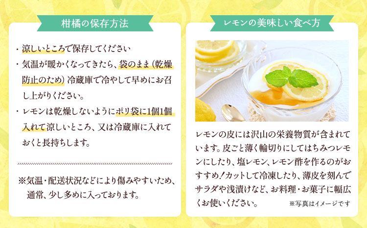 ã¬ã¢ã³ ãã€ã€ãŒã¬ã¢ã³ çŽ3kg 15ïœ20ç ãåç°ã¬ã¢ããŒãã2025幎9æäžæ¬-2026幎6æäžæ¬çºéã ææ© å®ååžç£ çæ¬çç£ ä¹å·ç£ åœç£