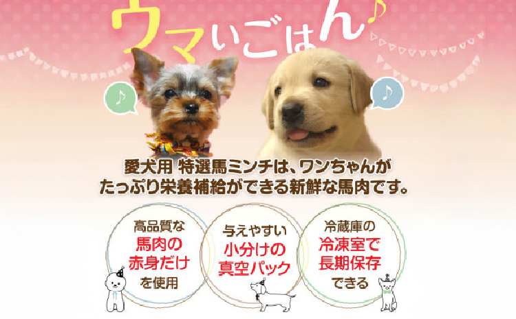 特選馬ミンチ45g 8パックセット ワンちゃん大喜び 馬肉ミンチ 犬用ミンチ 冷凍ミンチ 高タンパク 栄養満点 小分けパック 熊本県 宇城市 大阪馬肉屋TMP