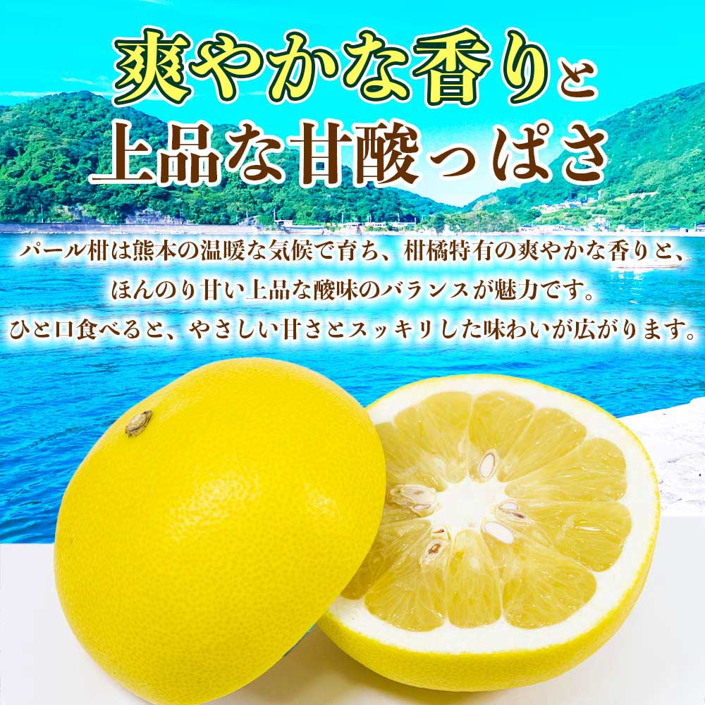 先行予約 パール柑 文旦 秀品 約5kg 【2027年2月上旬〜2027年3月下旬配送予定】ぱーるかん ぶんたん 果物 フルーツ くだもの 柑橘 柑橘類 グレープフルーツ 国産 熊本 九州 産地直送 秀品 高品質 酸味控えめ 日本フルーツ
