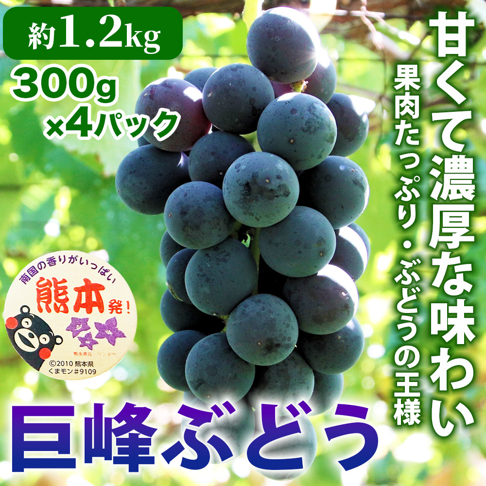 先行予約 巨峰 約1.2kg (4パック)[2026年7月下旬〜2026年8月下旬発送予定]きょほう フルーツ 果物 くだもの シャインマスカット ぶどう ブドウ 葡萄 国産 高級 大粒 ジューシー 果肉 濃厚 甘み 甘い 糖度 芳醇 香り 日本フルーツ