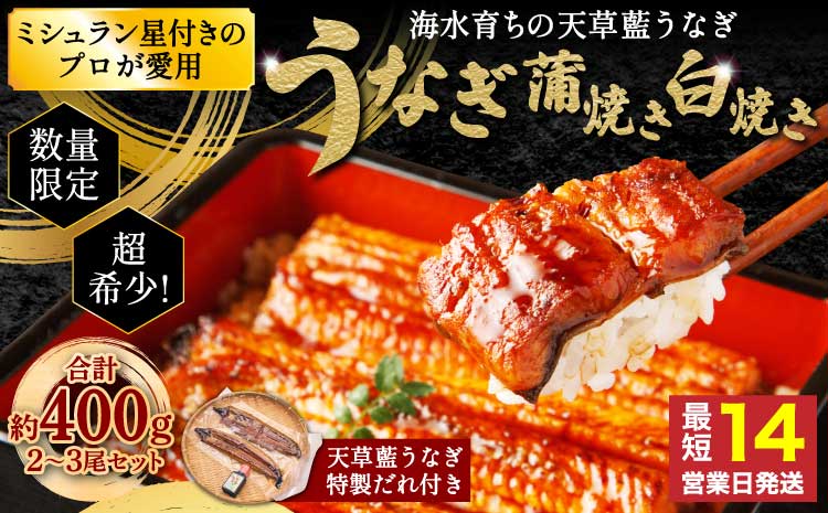 うなぎ 【ミシュラン1つ星店 採用】 国産 蒲焼き2-3尾 400g ギフト 蒲焼き 白焼き 鰻重 鰻丼 【数量限定】海水育ちの天草藍うなぎ 蒲焼き 2〜3尾セット（計約400g）鰻  