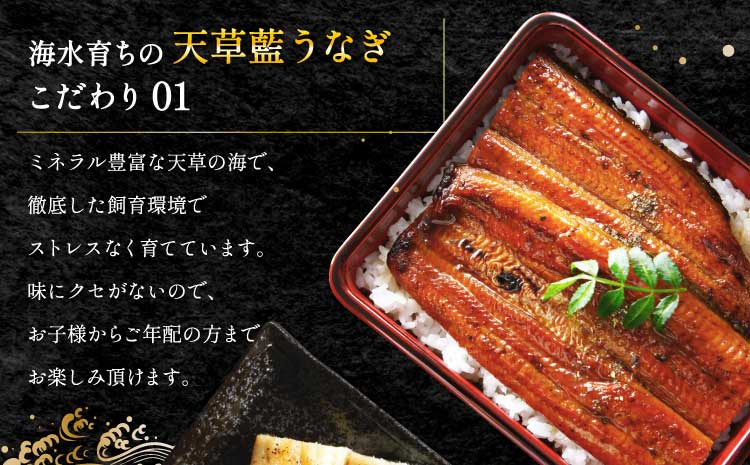 うなぎ 【ミシュラン1つ星店 採用】 国産 紅白 3～4尾セット 計600g  【数量限定】海水育ちの天草藍うなぎ 鰻 ニホンウナギ 惣菜 熊本県産 九州 国産 冷凍