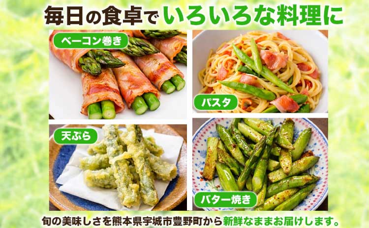訳あり アスパラガス グリーンアスパラ アスパラ あすぱら 約2kg(S～L) 【2026年7月上旬～2026年10月中旬発送予定】野菜 春野菜 旬野菜 生鮮食品 熊本 熊本県 宇城市 みずみずしい 甘い シャキシャキ やわらかい 日本フルーツ
