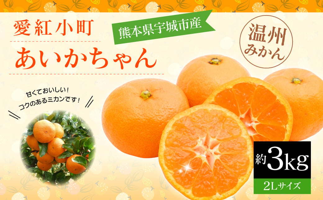 愛紅小町 あいかちゃん 約3kg 15〜20玉 2Lサイズ 【吉田レモニー】【2024年10月上旬〜2025年1月下旬発送】温州みかん