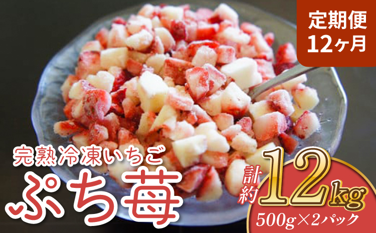 ãå®æäŸ¿12ã¶æãå®çå·åãã¡ããã·ã¡èºã1kg 500gÃ2ãã㯠åæèºå