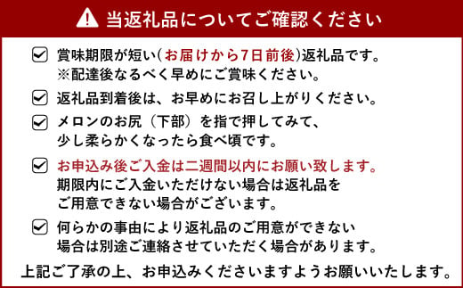 アールスメロン 2玉入り 合計約3.4kg【サンサンうきっ子宇城彩館】【2025年6月上旬から6月下旬発送予定】メロン