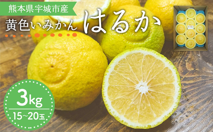 【先行予約】 はるか 約3kg（15玉〜20玉）【吉田レモニー】【2026年2月上旬〜2026年5月下旬発送】