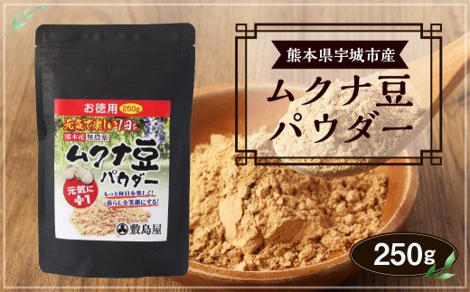 熊本県宇城市産 ムクナ豆 （八升豆） パウダー 250g×1袋 美容 健康|JAL