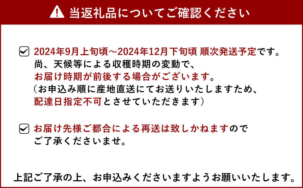 マイヤーレモン 3kg（25玉～30玉） 【ひかる農園】【9月上旬から12月下旬発送予定】レモン れもん 檸檬