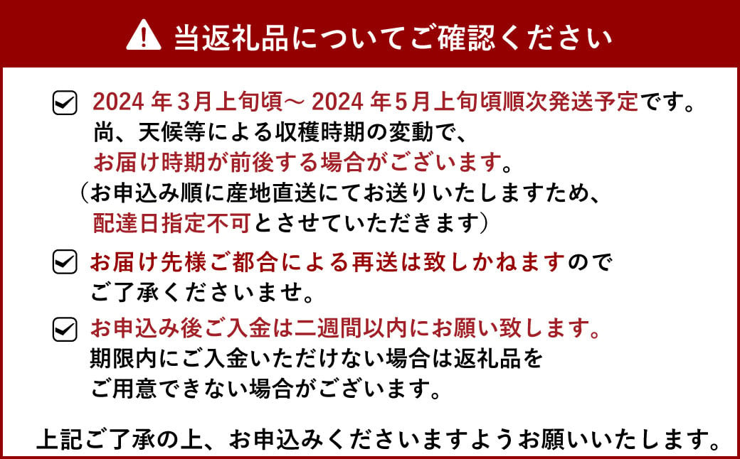 【2024年3月上旬より順次発送予定】宇城市産 不知火 約5kg 約18～22玉