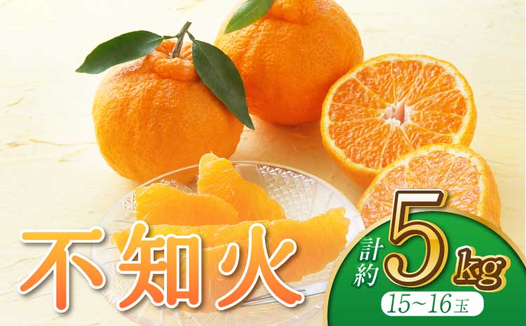 【先行予約】【2026年3月上旬から6月下旬発送予定】【うちやま果樹園】不知火 約5kg