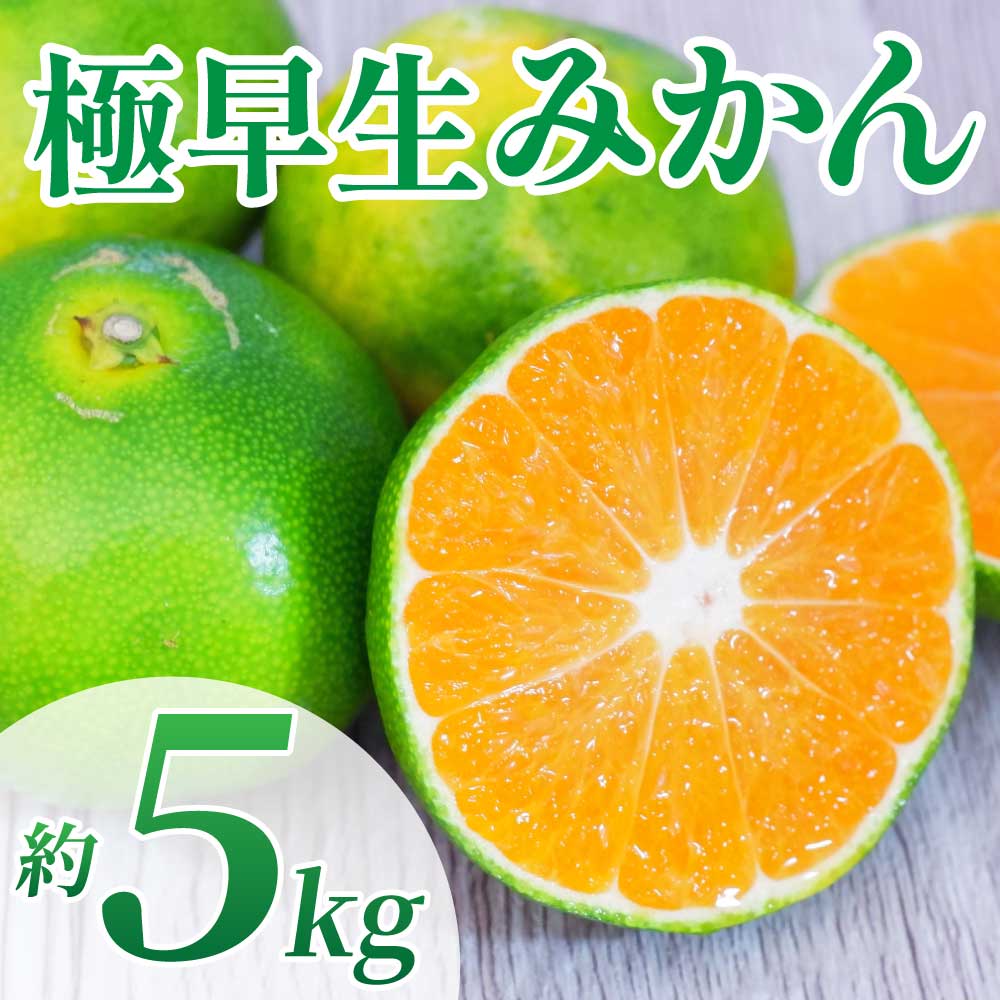 先行予約 極早生みかん 約5kg （2S〜2L）【2026年10月上旬〜2026年10月下旬配送予定】みかん ミカン 極早生みかん フルーツ 果物 柑橘 かんきつ 蜜柑 熊本県 熊本 九州 宇城市 国産 高糖度 甘い ジューシー みずみずしい 果汁 日本フルーツ
