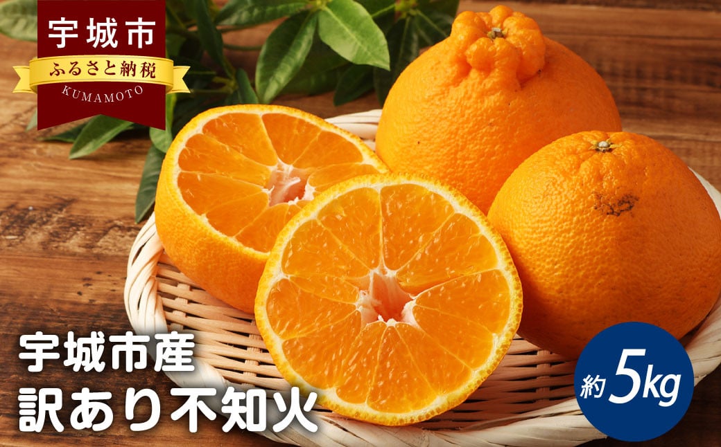 宇城市産 訳あり不知火 約5kg（15～22玉）【高岡農園】【2025年3月上旬～2025年4月上旬発送予定】不知火 デコポン 柑橘 果物 フルーツ 完熟