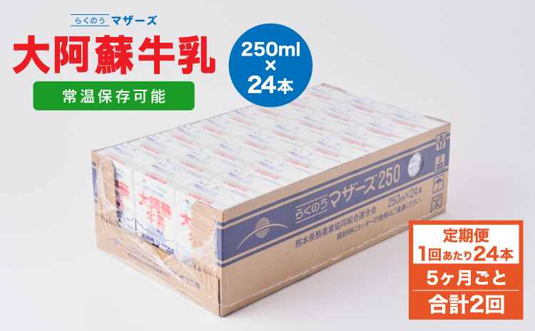 【5ヶ月毎2回定期便】 牛乳 大阿蘇牛乳 250ml 計48本 牛乳 定期便 常温保存 常温 らくのうマザーズ 大阿蘇牛乳 1ケース 250ml×24本 生乳100% ミルク 成分無調整牛乳