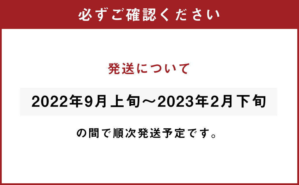 やせ麺 （ 辛まぜめん風 ・ 旨味ちゃんぽん風 ・ カレーうどん風 ）合計11個