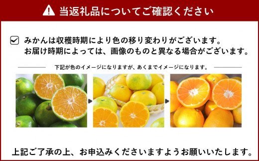 【9月下旬〜順次発送予定】宇城市産 極早生みかん 約10kg（3S〜Sサイズ）髙橋果樹園