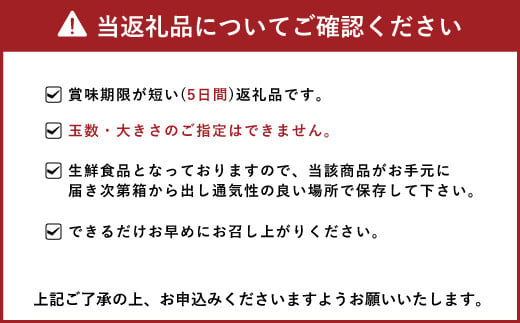 【2024年2月下旬〜順次発送予定】熊本県宇城市産 デコポン 4L〜Sサイズ 約2.5kg でこぽん 不知火 果物 柑橘