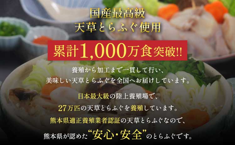 【ミシュラン2つ星店 採用】 とらふぐ ふぐ てっさ てっちり 2人前 刺身 フグ ひれ酒用 焼きひれ 海鮮 魚介類 冷凍 国産 熊本県産 【数量限定】1日25セット限定！ふぐの王様！とらふぐ国産最高級！天草 とらふぐ てっさ・ちり 満腹セット（2人前）