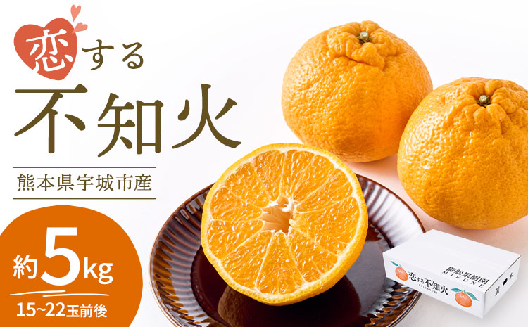 先行予約 不知火 恋する不知火 約5kg 御舩果樹園 しらぬい みかん ミカン 【2026年4月上旬から2026年6月下旬発送予定】 フルーツ 果物 くだもの 柑橘 宇城市 熊本県産 九州産