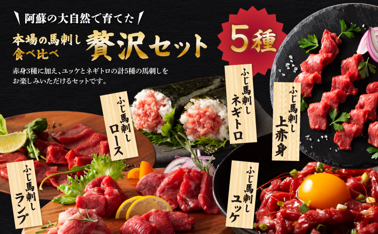  ふじ馬刺し上級赤身3種とユッケネギトロの詰め合わせ 馬肉 馬刺し  ユッケ ネギトロ 赤身 ロース ランプ 本場 食べ比べ 計5種 セット 専門店 自社牧場 産地直送 家庭用 お取り寄せ ご褒美 贅沢 おつまみ 小分け 贈答 ギフト プレゼント フジチク