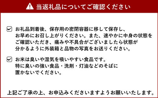 【11月上旬～順次発送予定】【令和4年度産】森のくまさん 精米 約10kg お米 熊本県宇城市産