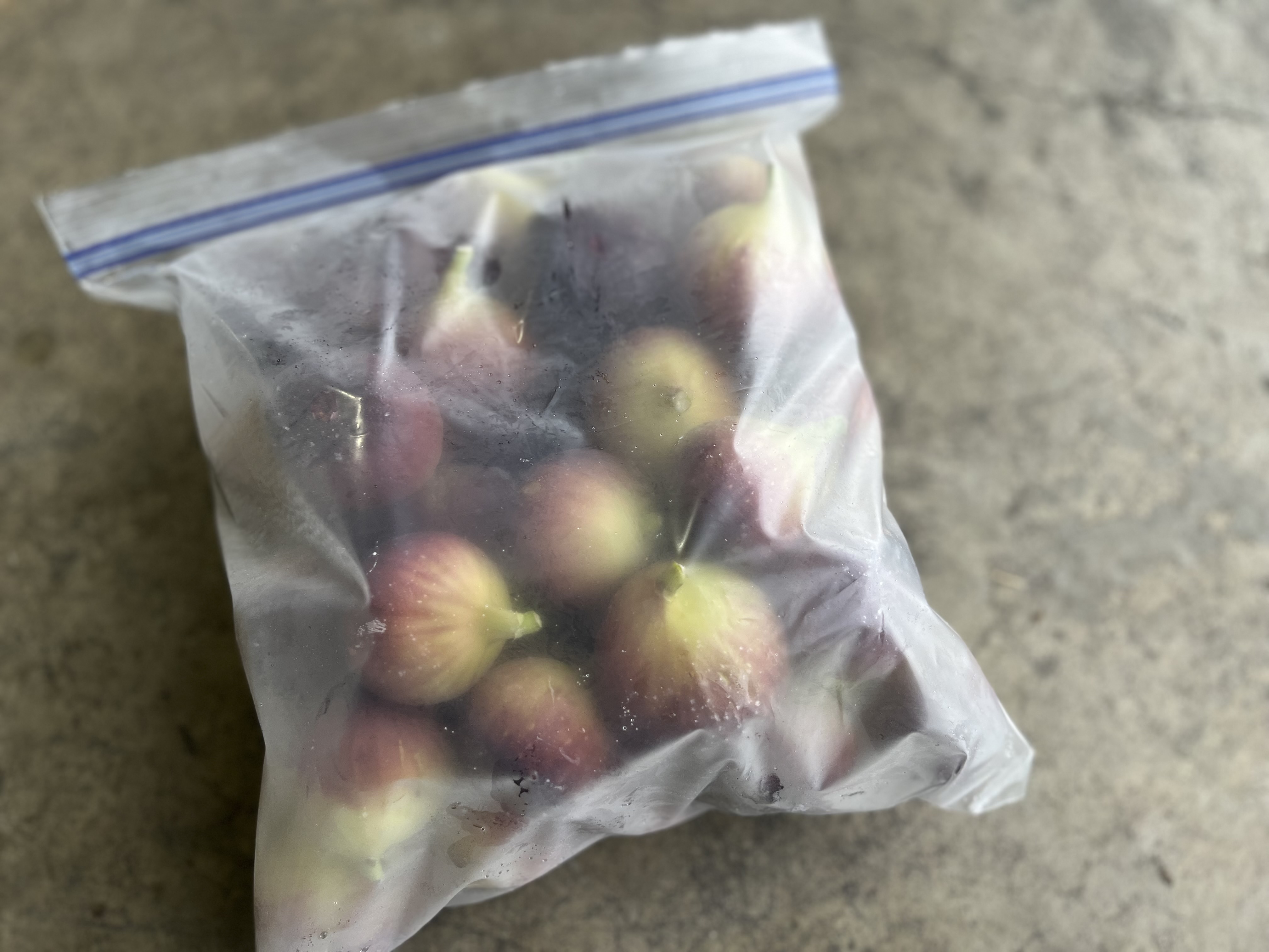 訳あり 冷凍 イチジク 約1.5kg【合同会社宝Farm】