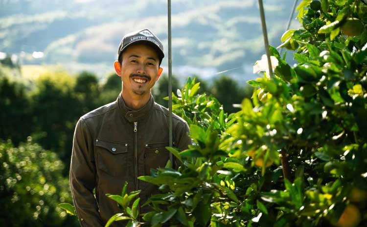 先行予約 不知火 ご家庭用 完熟不知火 約5kg 【髙橋果樹園】【2026年2月上旬から3月下旬発送予定】ご家庭用 不揃い キズあり SDGｓ B級品 しらぬい みかん ミカン 高橋果樹園 柑橘 かんきつ 宇城市産 デコポン® 不知火発祥の地