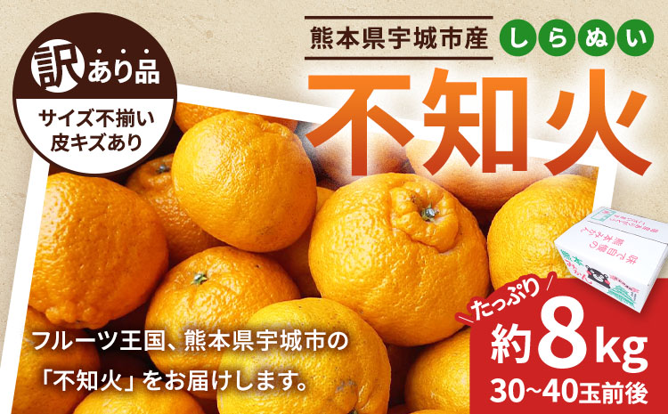 ãå
è¡äºçŽã äžç¥ç« èš³ãã çŽ8kg ããã¬ã ææ© ãã«ãŒã æç© æå® ã¿ãã èæ ãã«ã³ çæ¬ç å®ååžç£ ã2026幎2æäžæ¬ãã4æäžæ¬çºéäºå®ã