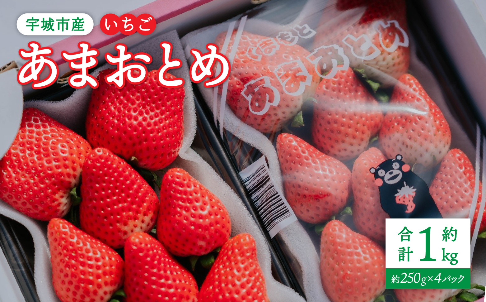 【2026年3月発送】 先行予約 いちご あまおとめ 約1kg（約250g×4パック） 【2026年3月上旬～2026年3月下旬頃発送予定】 合計1kg 果物 くだもの フルーツ 果実 苺 いちご イチゴ 宇城市産 NAGATA FARM