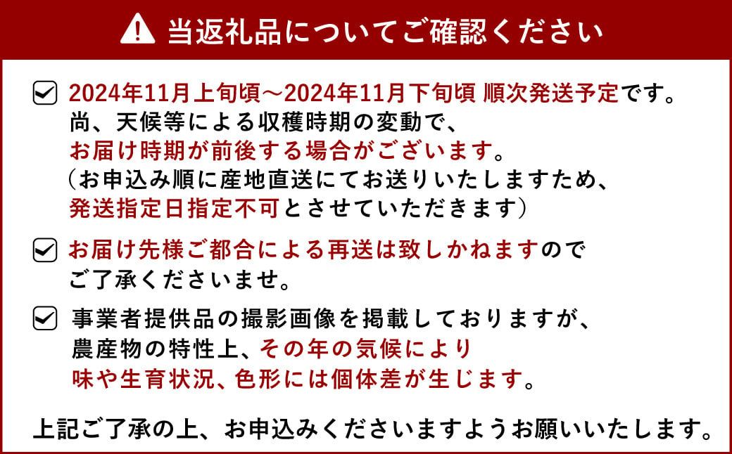 【先行予約】早生みかん（美味柑）約5kg 【11月上旬から11月下旬発送予定】